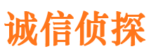 定安市调查取证